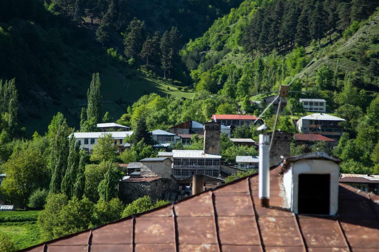 Hotel Patriot Mestia